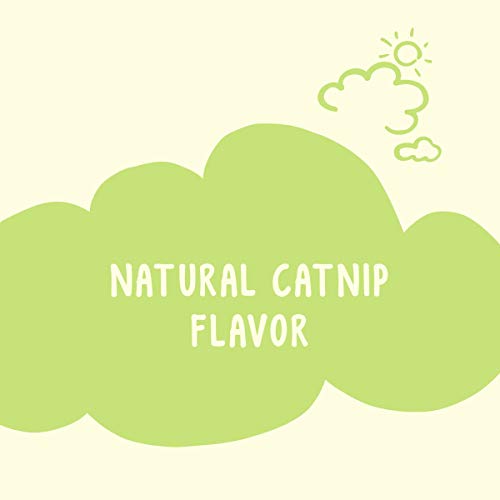 Purina Friskies Made in USA Facilities, Natural Cat Treats, Party Mix Natural Yums Catnip Flavor - 20 oz. Canister-UPStoxs