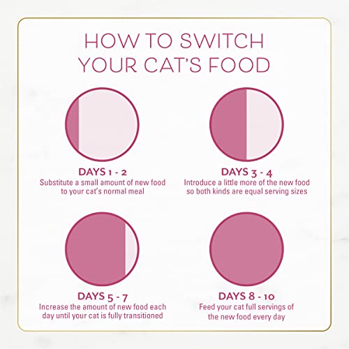 Purina Fancy Feast Dry Cat Food Filet Mignon Flavor with Seafood and Shrimp - 7 lb. Bag-UPStoxs