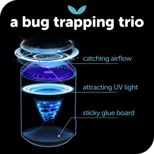 Katchy Indoor Insect Trap - Catcher & Killer for Mosquitos, Gnats, Moths, Fruit Flies - Non-Zapper Traps for Inside Your Home - Catch Insects Indoors with Suction, Bug Light & Sticky Glue (Black)-UPStoxs