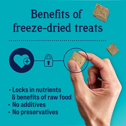 Stewart Freeze Dried Dog Treats, Beef Liver, Salmon, Chicken Liver & Chicken Breast, 4 oz, 12 oz, 14 oz, 21 oz, Resealable Tub, Grain Free & Gluten Free, Single Ingredient, Dog Training Treats-UPStoxs