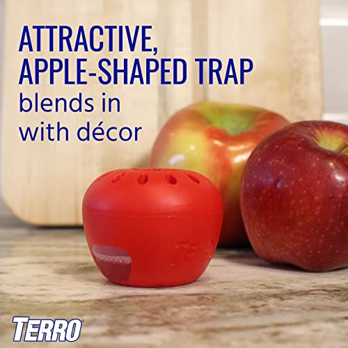 Terro Fruit Fly Trap 4 Traps + 180 Days Lure Supply-UPStoxs
