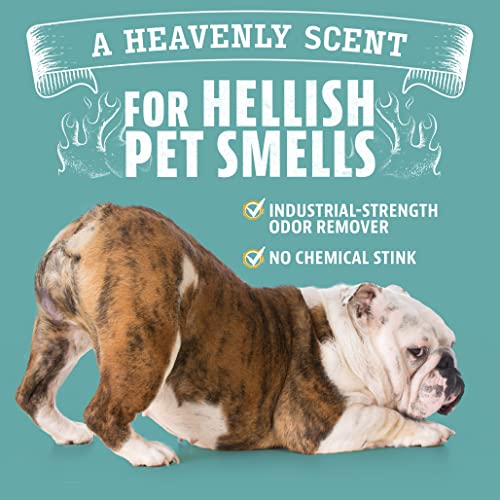ANGRY ORANGE Pet Odor Eliminator for Strong Odor - Citrus Deodorizer for Strong Dog or Cat Pee Smells on Carpet, Furniture & Indoor Outdoor Floors - 24 Fluid Ounces - Puppy Supplies-UPStoxs