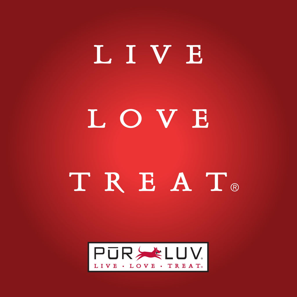 Pur Luv Dog Treats, K9 Kabobs for Dogs Made with Real Chicken, Duck, and Sweet Potato, 12 Ounces, Healthy, Easily Digestible, Long-Lasting, High Protein Dog Treat, Satisfies Dog's Urge to Chew-UPStoxs