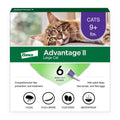 Advantage II Large Cat Vet-Recommended Flea Treatment & Prevention | Cats Over 9 lbs. | 6-Month Supply-UPStoxs