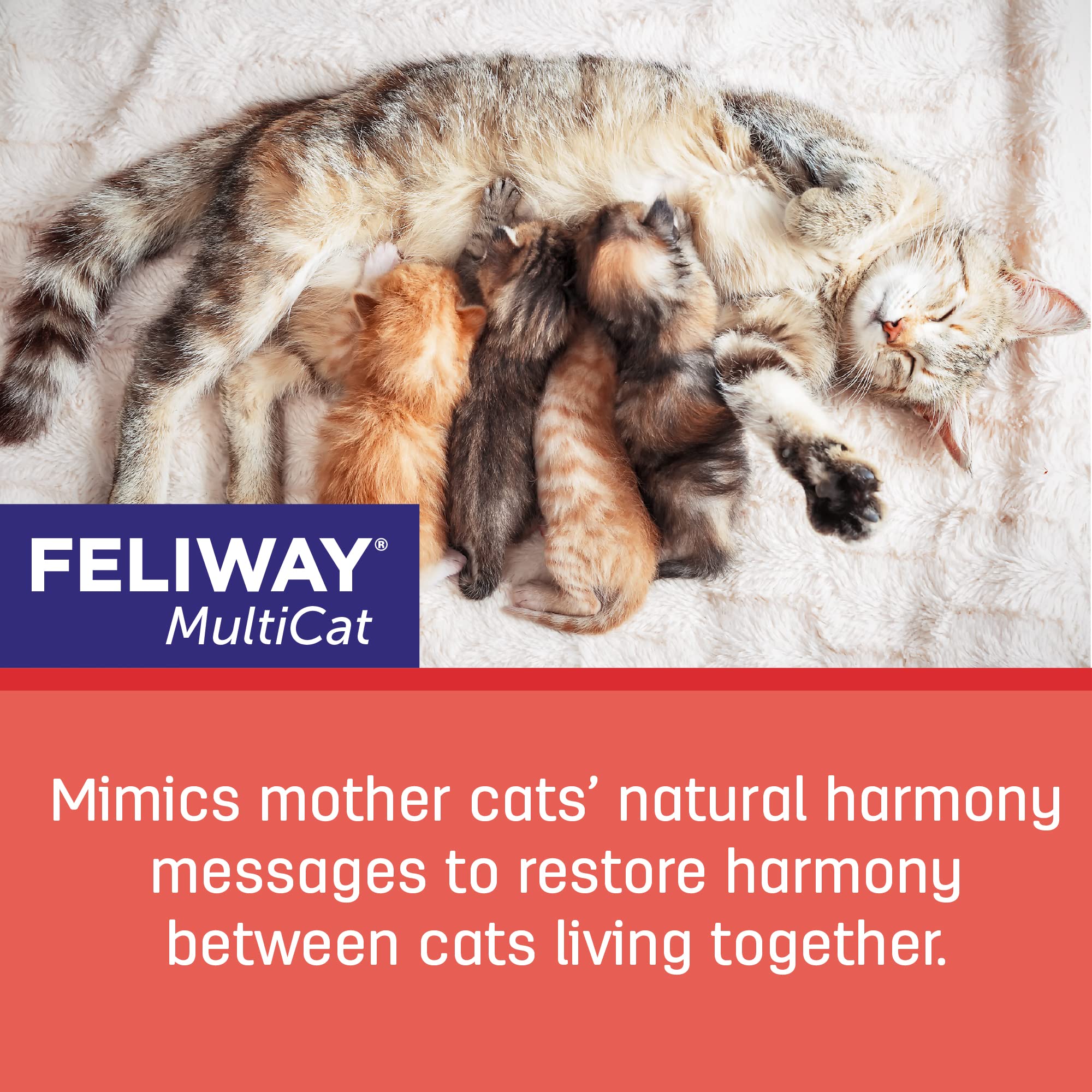 FELIWAY MultiCat Calming Pheromone, 30 Day Refill - 3 Pack-UPStoxs
