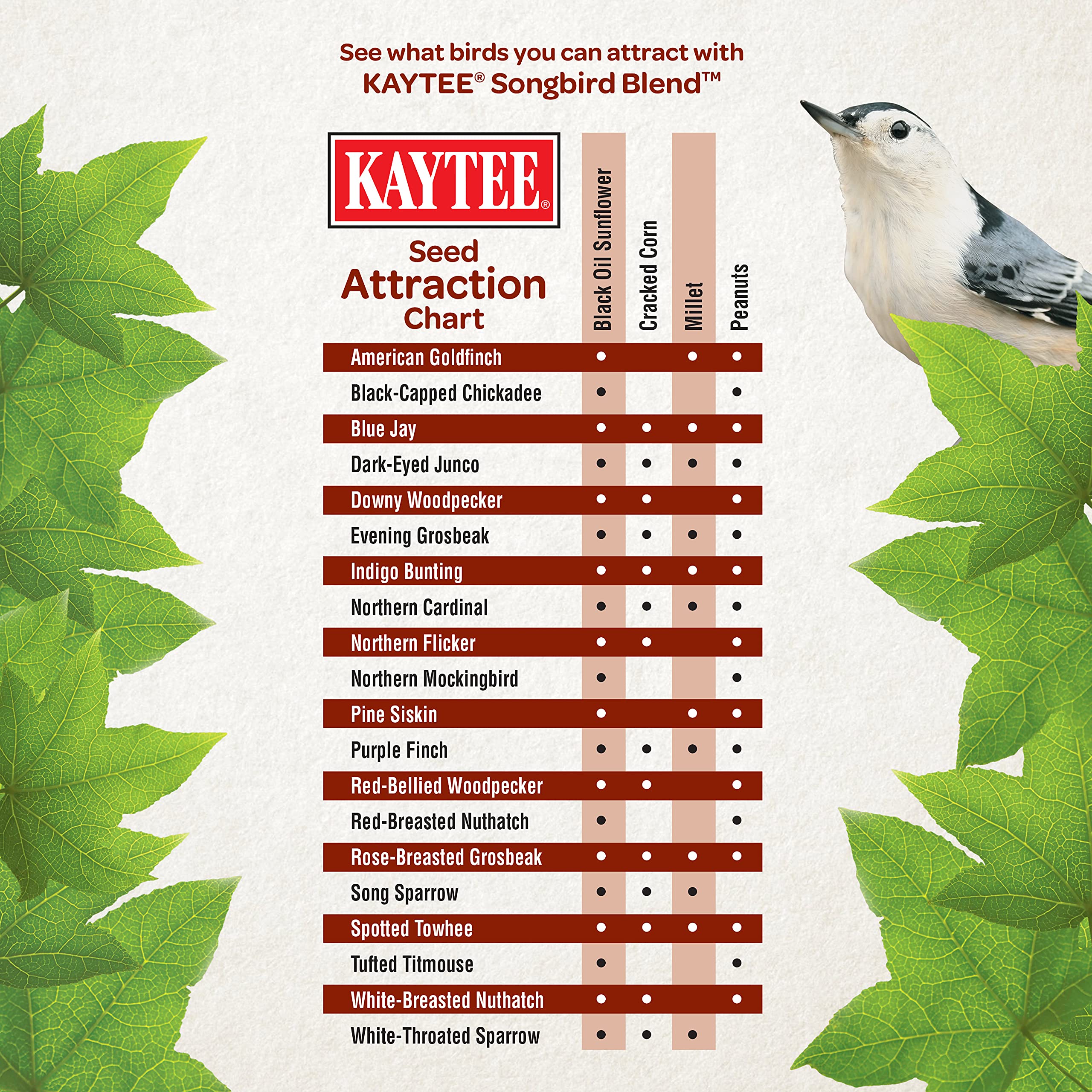 Kaytee Wild Bird Songbird Blend Food Seed, 7 Pound-UPStoxs